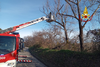 Monterubbiano - Vigili del Fuoco rimuovono rami pericolanti: strade in sicurezza